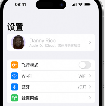 乾县appleID维修服务iPhone设置中Apple ID显示为灰色无法使用 