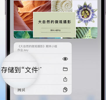 乾县apple维修中心分享iPhone文件应用中存储和找到下载文件