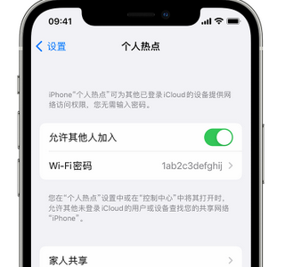 乾县apple服务站点分享iPhone上个人热点丢失了怎么办