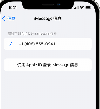 乾县apple维修iPhone上无法正常发送iMessage信息 