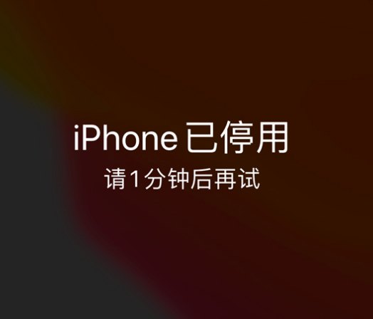 乾县苹果手机维修分享:iPhone 显示“不可用”或“已停用”怎么办？还能保留数据吗？ 