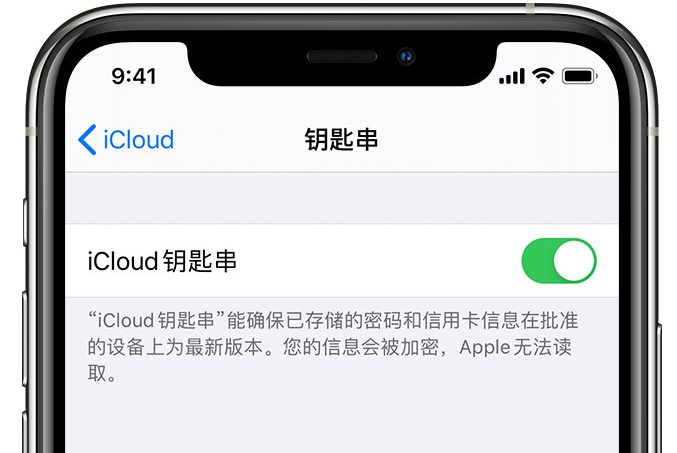 乾县苹果手机维修分享在 iPhone 上开启 iCloud 钥匙串之后会储存哪些信息 