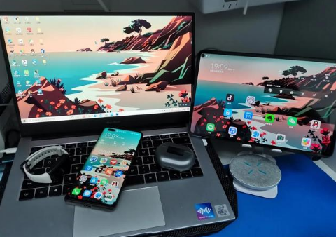 乾县苹果手机维修分享为什么iPad屏幕更大价格却比iPhone低 