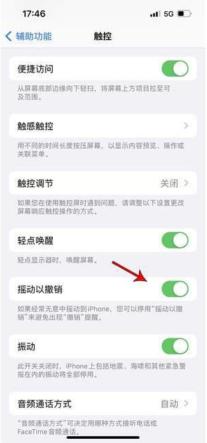 乾县苹果手机维修分享iPhone手机如何设置摇一摇删除文字 